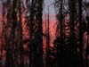Rock Lake sunset.
